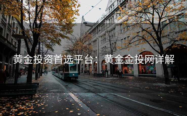 黄金投资首选平台：黄金金投网详解