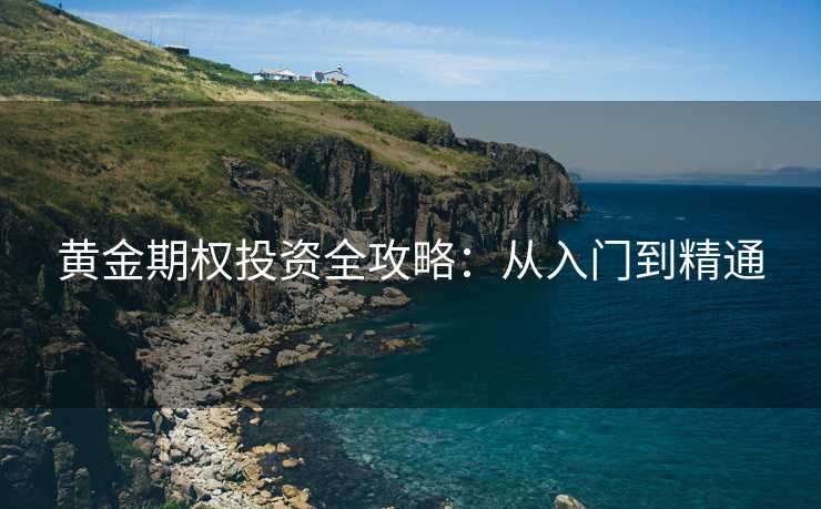 黄金期权投资全攻略：从入门到精通