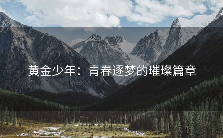 黄金少年：青春逐梦的璀璨篇章