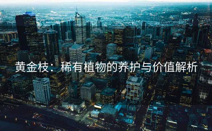 黄金枝：稀有植物的养护与价值解析