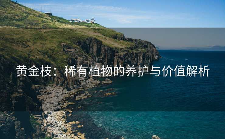 黄金枝：稀有植物的养护与价值解析