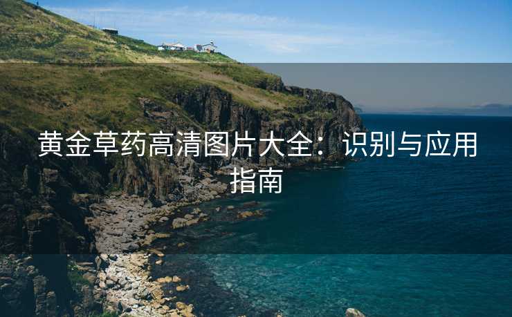 黄金草药高清图片大全：识别与应用指南