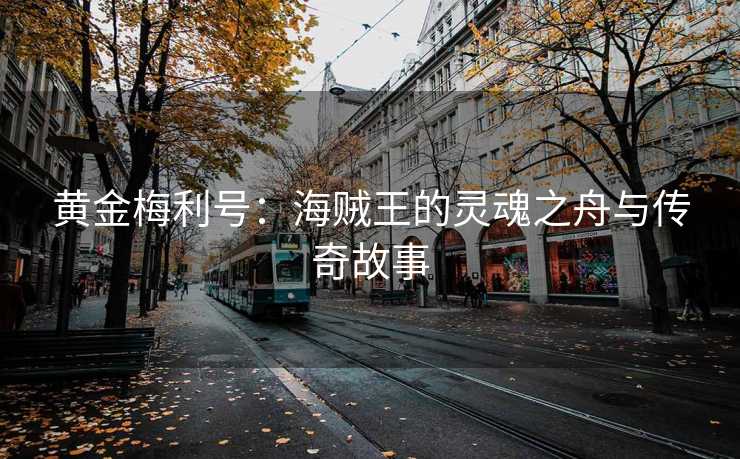 黄金梅利号：海贼王的灵魂之舟与传奇故事