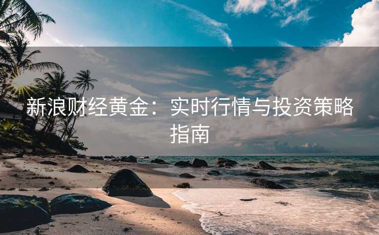 新浪财经黄金：实时行情与投资策略指南