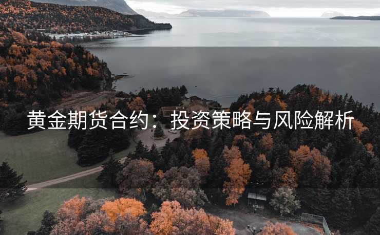 黄金期货合约：投资策略与风险解析