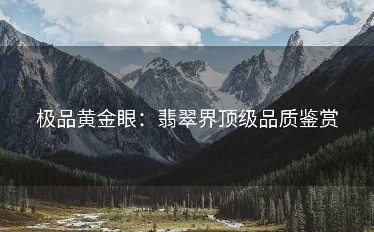 极品黄金眼：翡翠界顶级品质鉴赏
