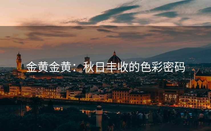 金黄金黄：秋日丰收的色彩密码