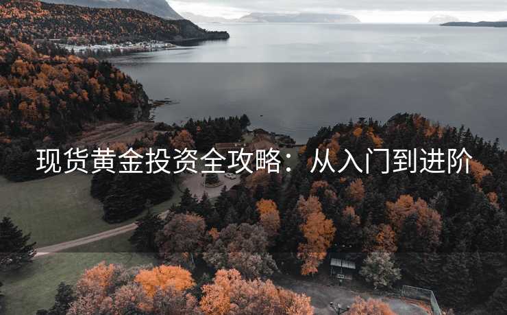 现货黄金投资全攻略：从入门到进阶