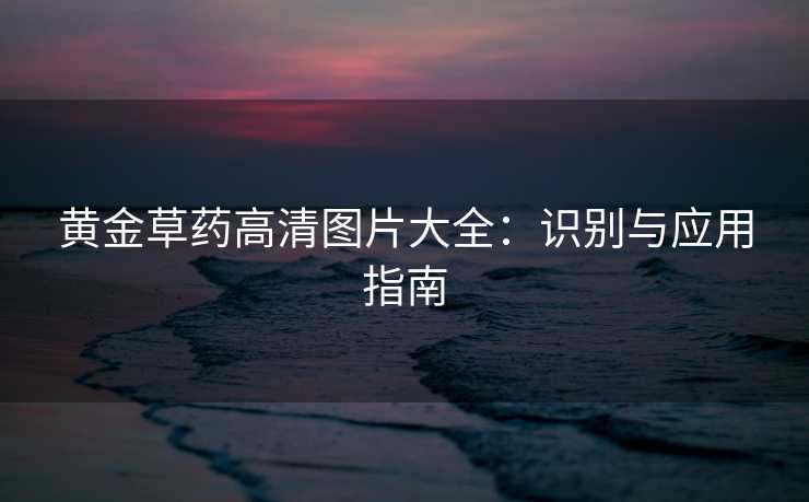 黄金草药高清图片大全:识别与应用指南 黄金草药高清图片大全:识别与应用指南