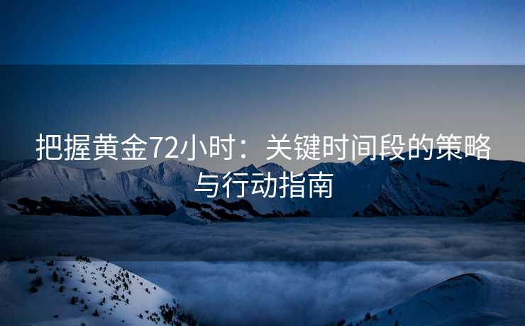 把握黄金72小时:关键时间段的策略与行动指南 把握黄金72小时:关键时间段的策略与行动指南
