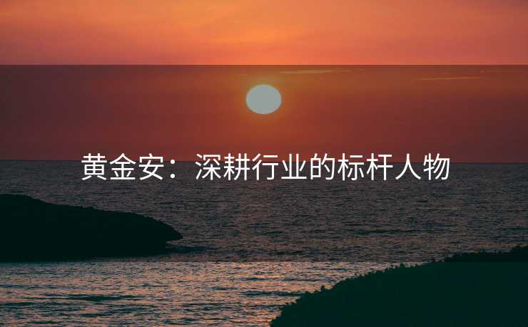 黄金安：深耕行业的标杆人物