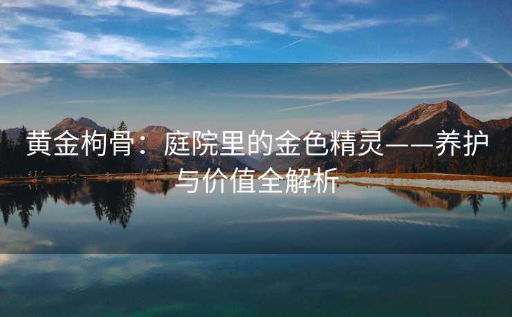 黄金枸骨：庭院里的金色精灵——养护与价值全解析