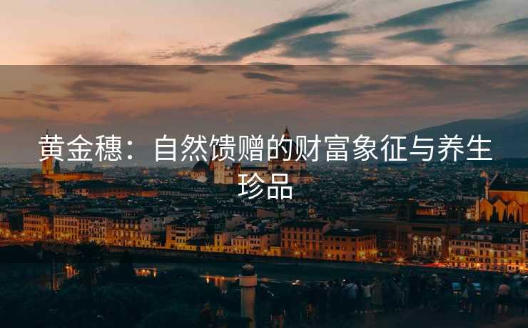 黄金穗:自然馈赠的财富象征与养生珍品 黄金穗:自然馈赠的财富象征与养生珍品