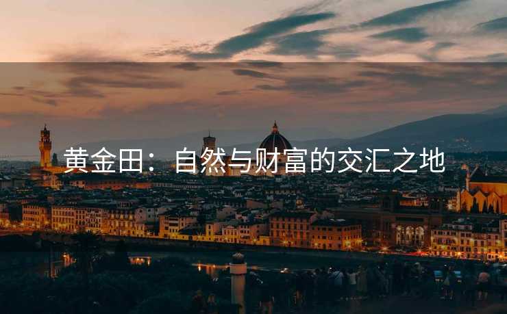黄金田:自然与财富的交汇之地 黄金田:自然与财富的交汇之地
