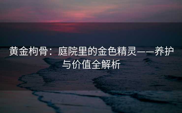 黄金枸骨：庭院里的金色精灵——养护与价值全解析