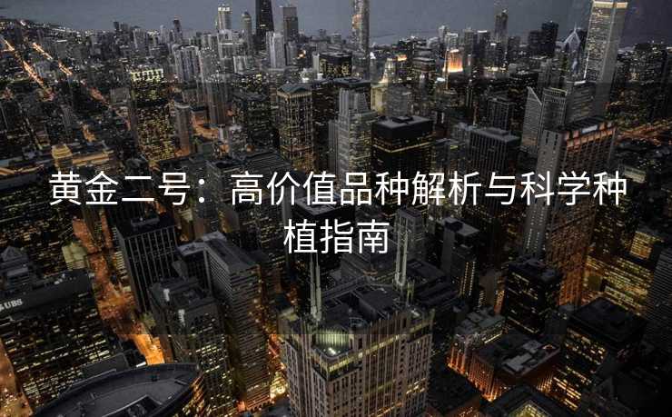黄金二号:高价值品种解析与科学种植指南 黄金二号:高价值品种解析与科学种植指南