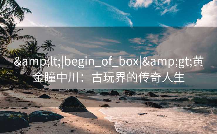 <|begin_of_box|>黄金瞳中川：古玩界的传奇人生