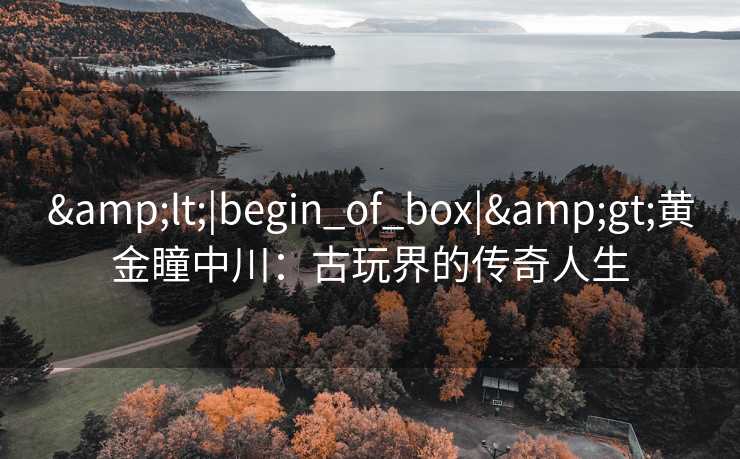 <|begin_of_box|>黄金瞳中川：古玩界的传奇人生