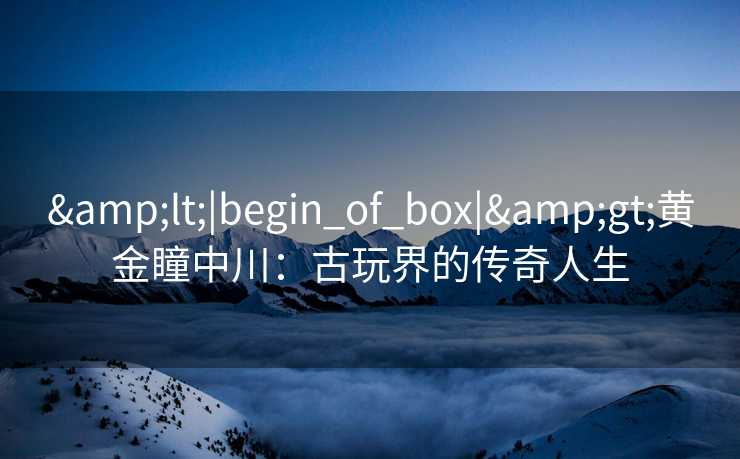 <|begin_of_box|>黄金瞳中川：古玩界的传奇人生