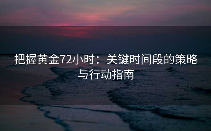 把握黄金72小时：关键时间段的策略与行动指南