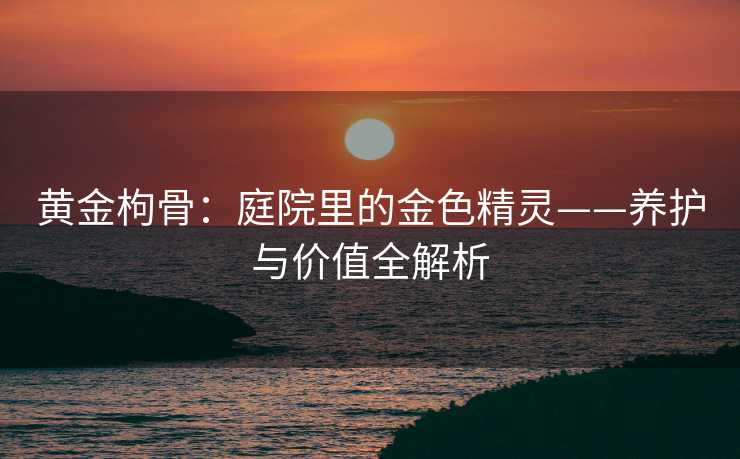黄金枸骨：庭院里的金色精灵——养护与价值全解析