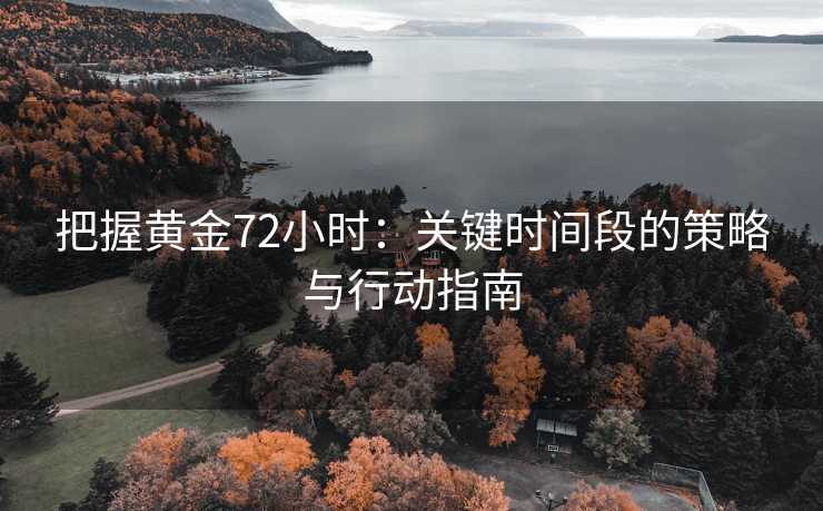 把握黄金72小时：关键时间段的策略与行动指南