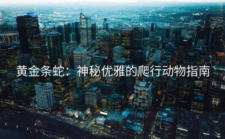 黄金条蛇：神秘优雅的爬行动物指南