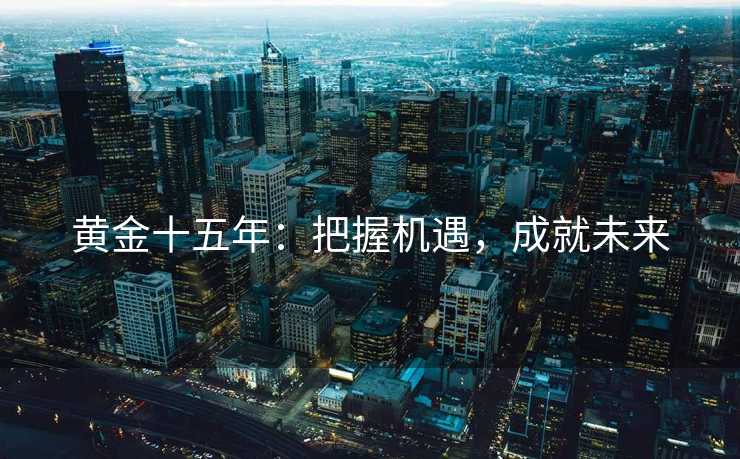 黄金十五年：把握机遇，成就未来