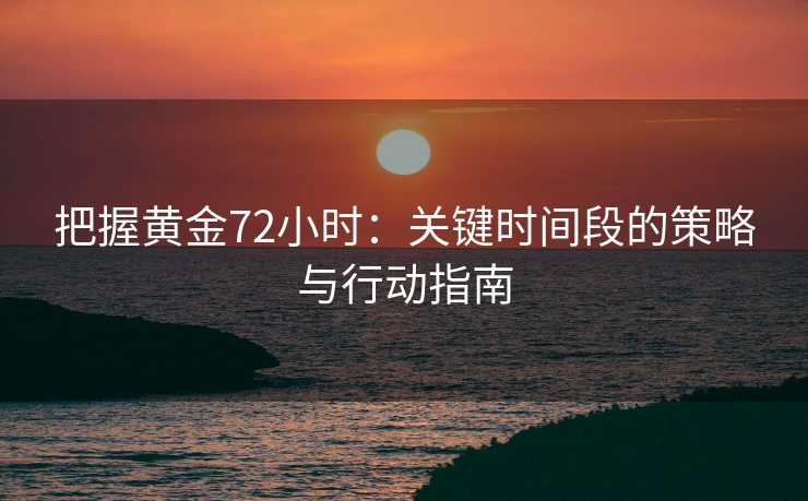 把握黄金72小时：关键时间段的策略与行动指南