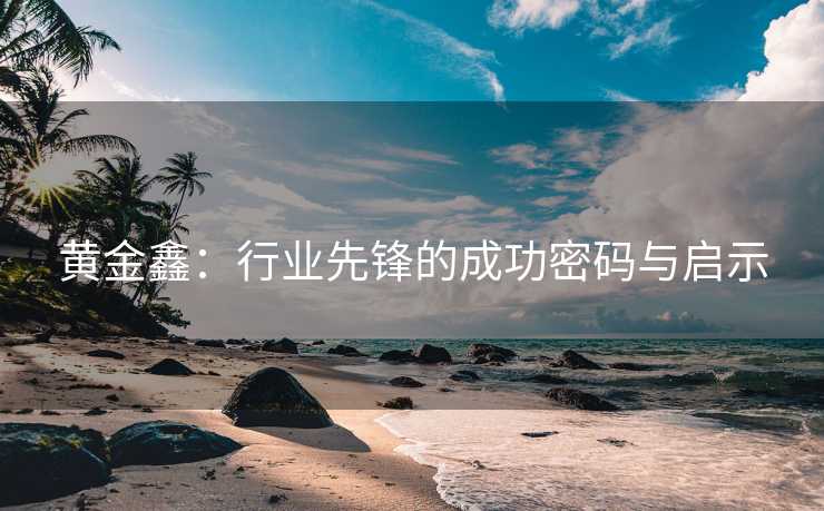黄金鑫：行业先锋的成功密码与启示