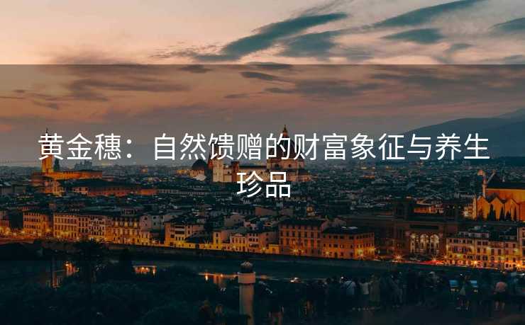 黄金穗：自然馈赠的财富象征与养生珍品