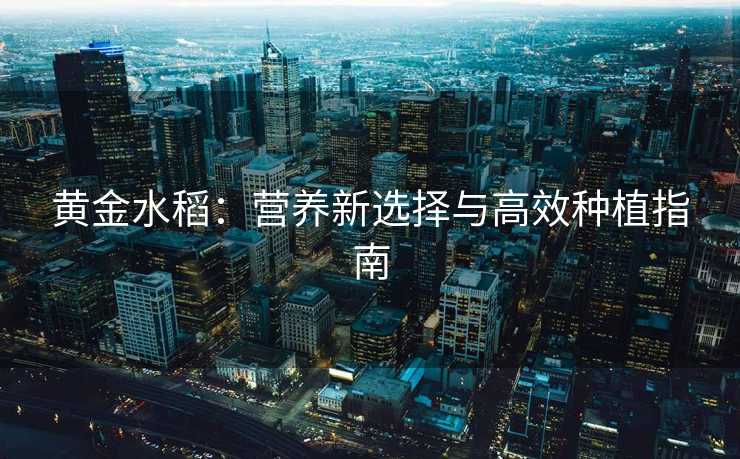 黄金水稻：营养新选择与高效种植指南