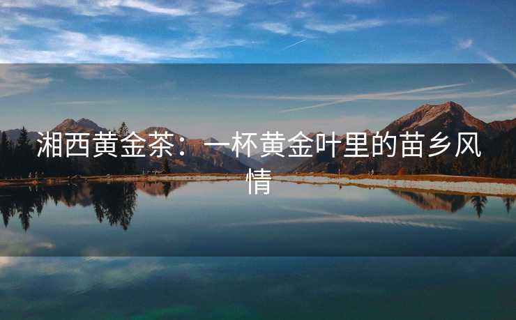 湘西黄金茶：一杯黄金叶里的苗乡风情