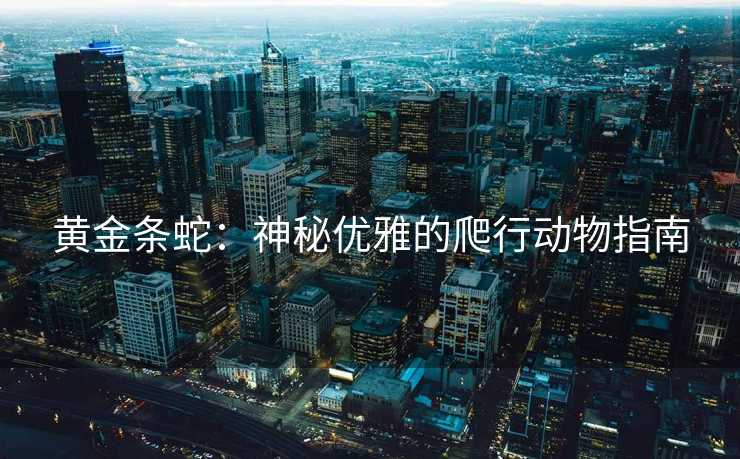 黄金条蛇：神秘优雅的爬行动物指南