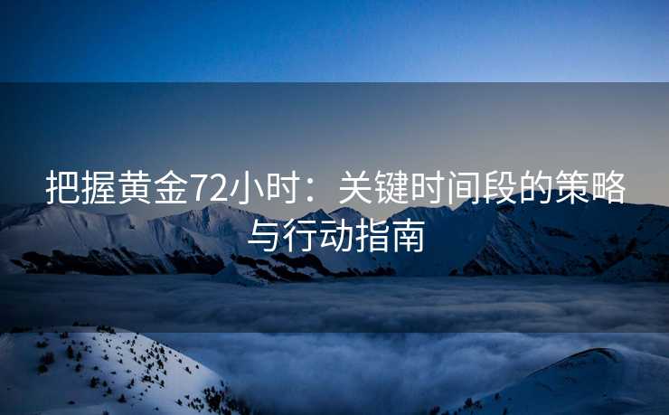 把握黄金72小时：关键时间段的策略与行动指南